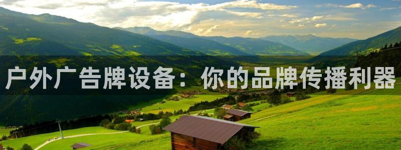 杏宇平台总代理