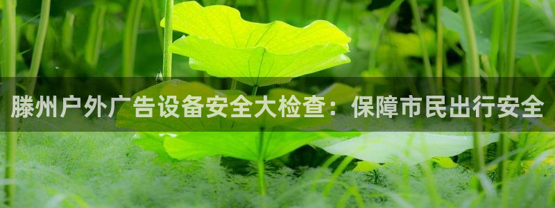 杏宇平台代理