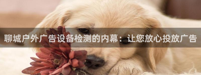 杏宇平台代理多少钱一个月