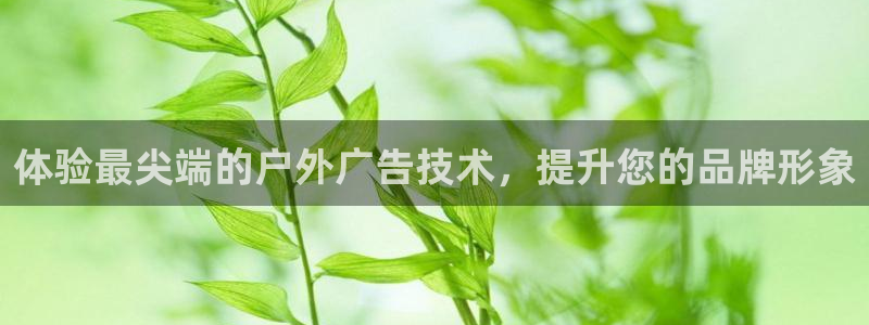 杏宇平台客服