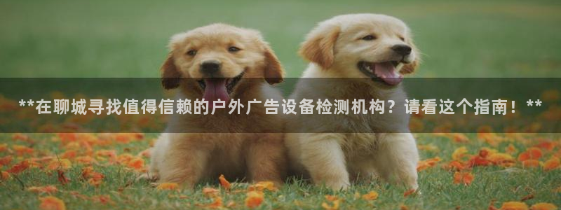 杏宇平台代理怎么赚钱快：**在聊城寻找值得信赖的户外广告设备检测机构？请看这个指南！**