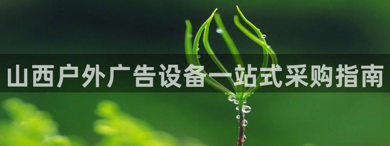 杏宇平台总代理电话