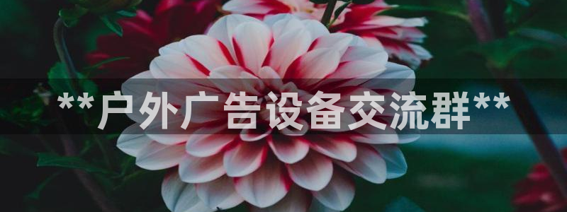 杏宇平台好吗