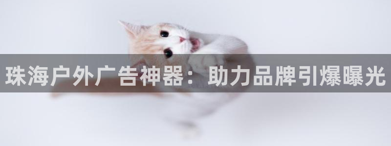 杏宇平台代理怎么样赚钱