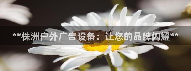 杏宇平台代理怎么样