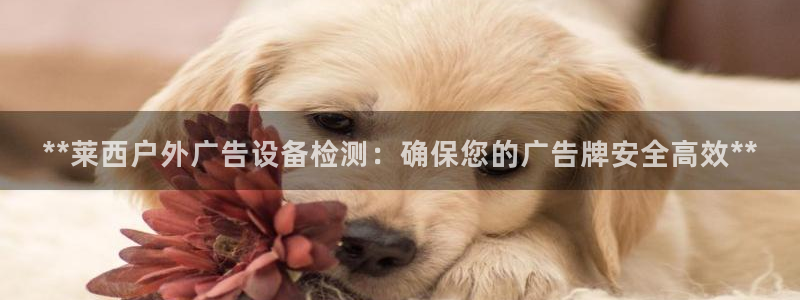 杏宇平台总代理是谁