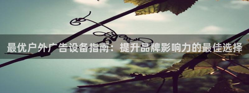 杏宇平台代理多少钱一个