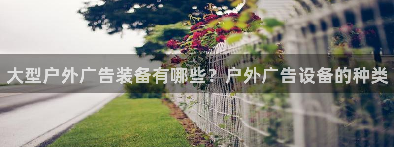 杏宇平台代理怎么样啊