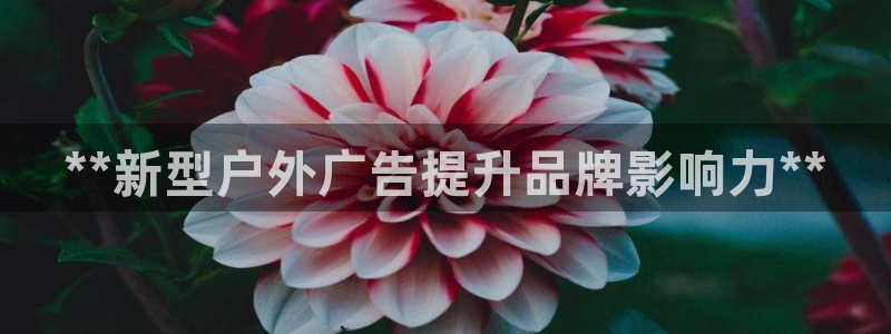 杏宇平台代理多少钱
