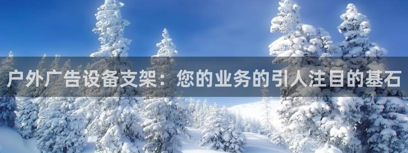 杏宇代理注册