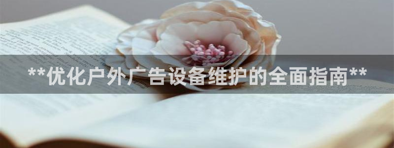 杏宇平台开户