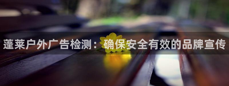 杏宇平台注册地址：蓬莱户外广告检测：确保安全有效的品牌宣传