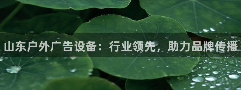 杏宇平台招商怎么样