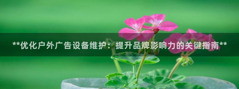 杏宇平台招商：**优化户外广告设备维护：提升品牌影响力的关键指南**