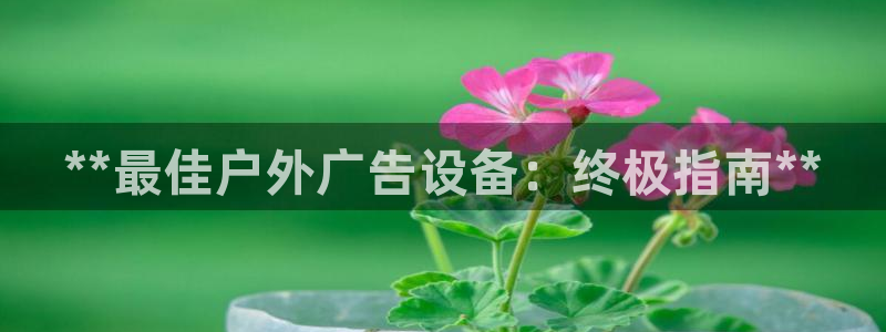 杏宇平台测速链接：**最佳户外广告设备：终极指南**