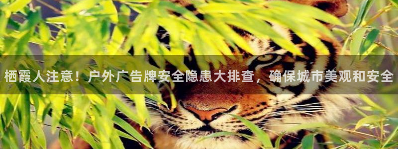 杏宇平台好吗