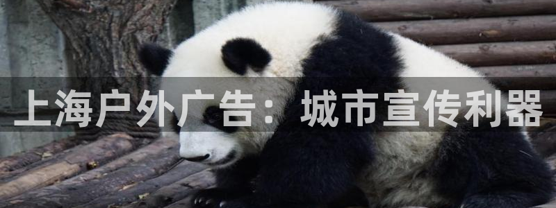 杏宇平台怎么样赚钱