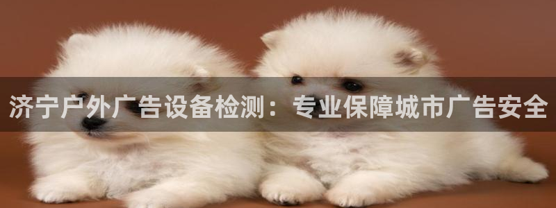 杏宇平台怎么样：济宁户外广告设备检测：专业保障城市广告安全