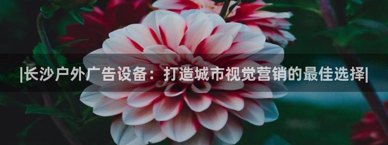 杏宇平台登录步骤是什么：|长沙户外广告设备：打造城市视觉营销的最佳选择|