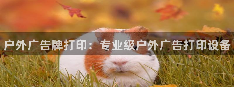 杏宇平台代理怎么样啊：户外广告牌打印：专业级户外广告打印设备