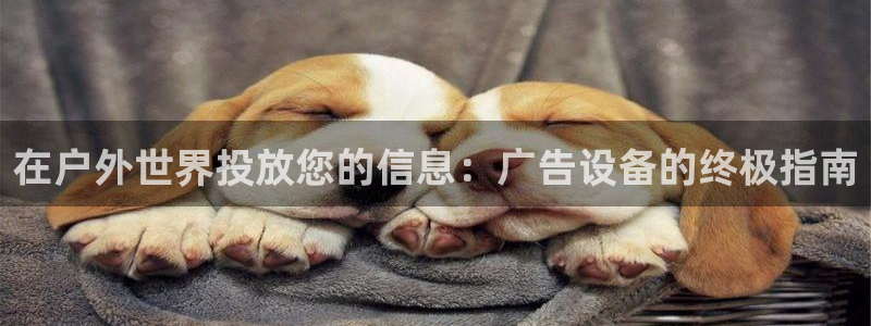 杏宇平台测速链接