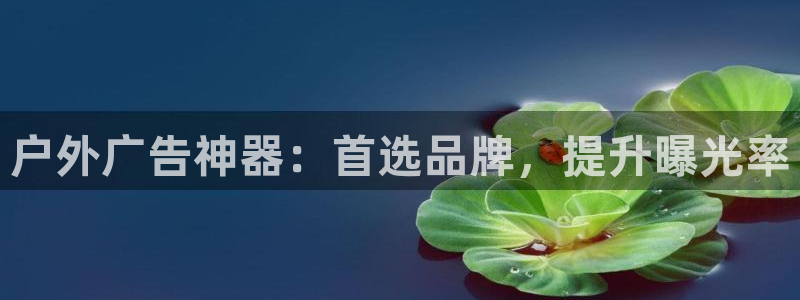 杏宇平台注册地址