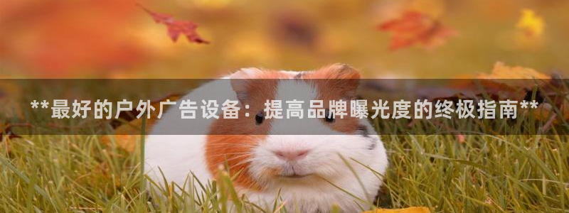 杏宇平台代理多少钱一个