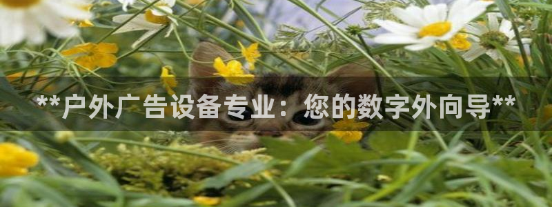 杏宇平台测速链接