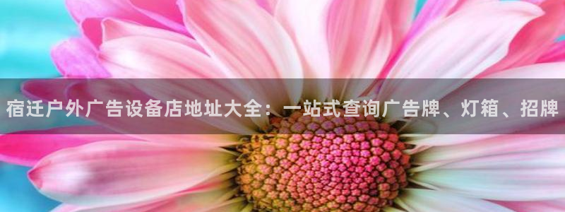 杏宇平台代理