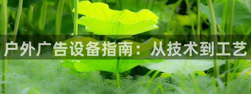 杏宇平台总代理电话