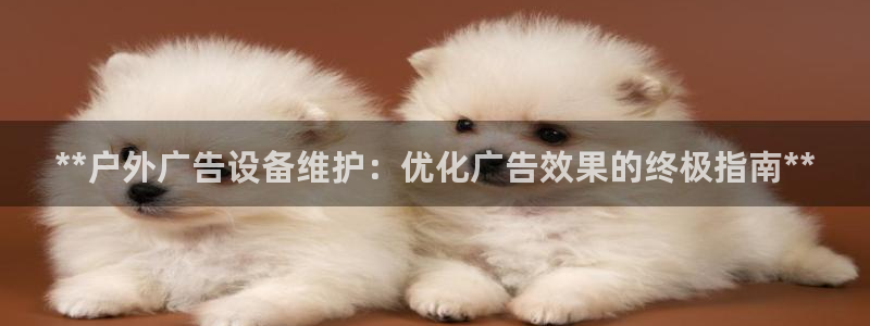 杏宇平台总代理电话：**户外广告设备维护：优化广告效果的终极指南**