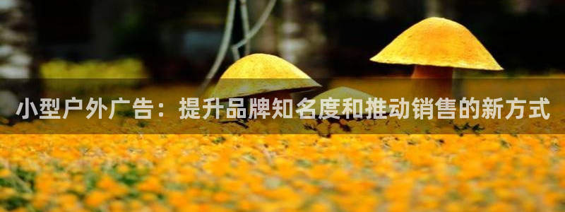 杏宇平台登录方法：小型户外广告：提升品牌知名度和推动销售的新方式