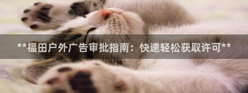 杏宇平台好吗