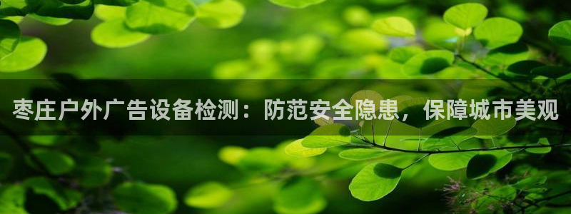 杏宇官方平台官网入口