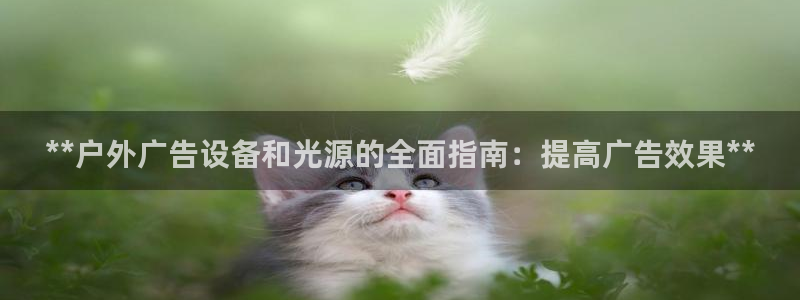 杏宇平台登录步骤：**户外广告设备和光源的全面指南：提高广告效果**