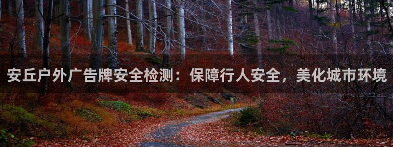 杏宇平台代理怎么赚钱