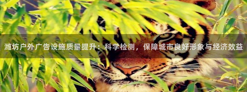杏宇平台代理怎么赚钱：潍坊户外广告设施质