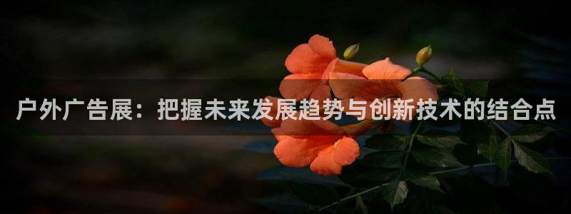 杏宇平台代理怎么赚钱：户外广告展：把握未来发展趋势与创新技术的结合点