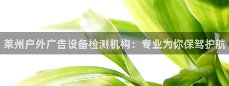 杏宇平台登录步骤图：莱州户外广告设备检测机构：专业为你保驾护航