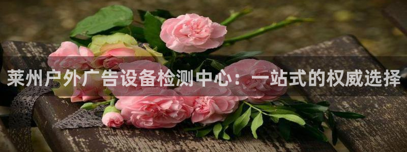 杏宇平台代理怎么赚钱快：莱州户外广告设备