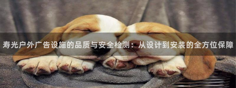 杏宇平台代理多少钱一个