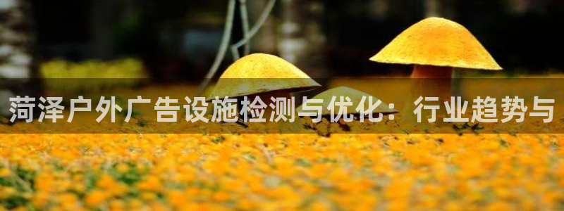 杏宇平台总代理电话：菏泽户外广告设施检测