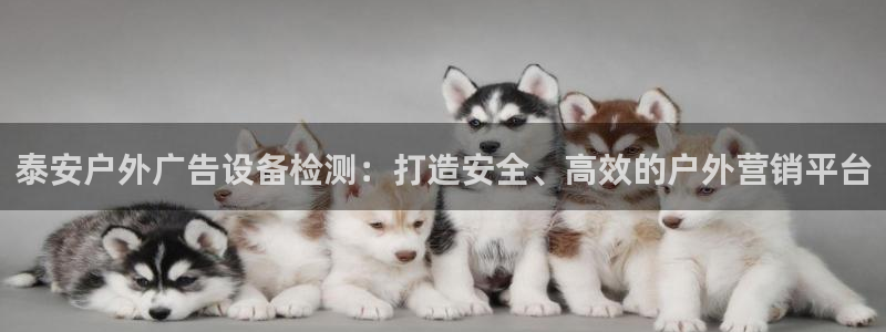 杏宇平台登陆：泰安户外广告设备检测：打造