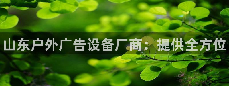 杏宇平台代理怎么赚钱的：山东户外广告设备