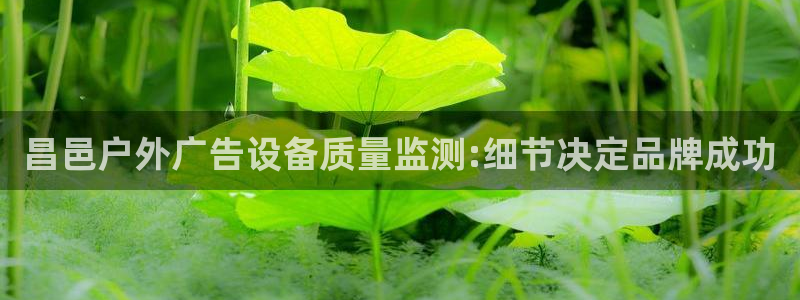 杏宇平台代理