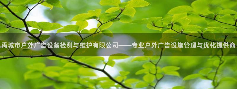 杏宇官方平台官网：禹城市户外广告设备检测与维护有限公司——专业户外广告设施管理与优化提供商