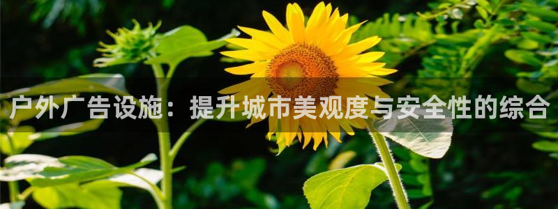 杏宇平台主管：户外广告设施：提升城市美观度与安全性的综合