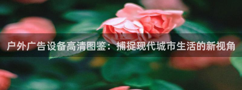 杏宇平台招商：户外广告设备高清图鉴：捕捉