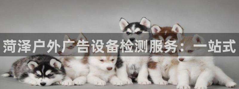 杏宇平台代理多少钱一个月：菏泽户外广告设