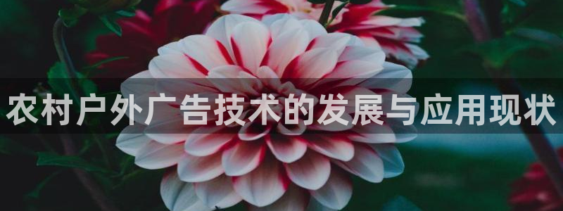 杏宇平台开户：农村户外广告技术的发展与应用现状